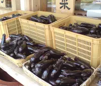 味工房志野 大原街道店の写真・動画_image_85702