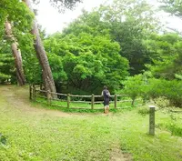 春日山城跡の写真・動画_image_152913