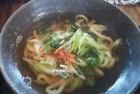 うどん えぼしの写真・動画_image_73829