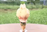 農家カフェ 森のガーデン