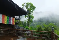 長谷寺の写真・動画_image_76079