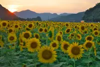 宝蔵寺の写真・動画_image_138261