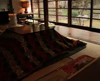 食堂101号室の写真・動画_image_214406