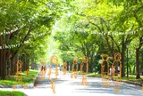 北海道大学