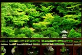 新潟市旧齋藤家別邸