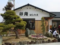 卵庵はしたまの写真・動画_image_129086