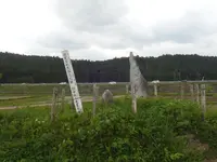剣神社の写真・動画_image_134703
