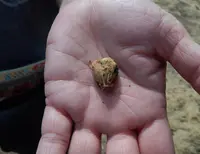 興福寺の写真・動画_image_91311