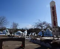西湖野鳥の森公園の写真・動画_image_215689