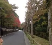 鏡石通の写真・動画_image_16507