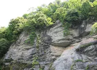 長瀞ライン下りの写真・動画_image_45196