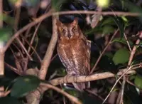 鳳来寺の写真・動画_image_68357