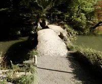 六義園の写真・動画_image_50811