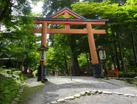 日吉大社の写真・動画_image_771074