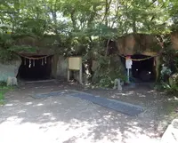 大王わさび農場の写真・動画_image_286013