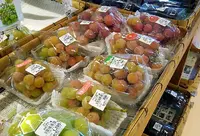 道の駅 ‎たけはらの写真・動画_image_164044