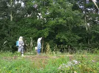 開田高原の写真・動画_image_197189
