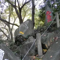 駒込富士神社の写真・動画_image_101272