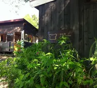 パン ド ムシャムシャ アンド コーヒーの写真・動画_image_168282