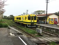 国吉駅の写真・動画_image_174383