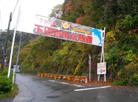 下田海中水族館の写真・動画_image_124927