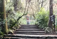 紅葉谷公園の写真・動画_image_1588978