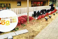 京都市動物園の写真・動画_image_212467