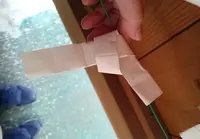 やよい天狗の写真・動画_image_97447