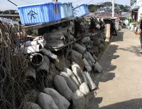 ここで観音めぐりをの写真・動画_image_26592