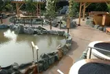 高崎 京ヶ島天然温泉 湯都里