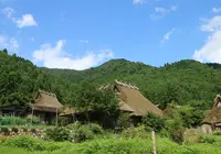 美山かやぶきの里の写真・動画_image_509542