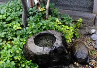 キザクラカッパカントリーの写真・動画_image_83546