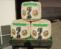澤乃井の写真・動画_image_155755