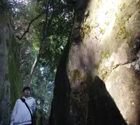神谷太刀宮（神谷神社）の写真・動画_image_430828