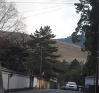若草山の写真・動画_image_186023