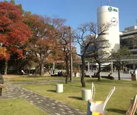 京都競馬場の写真・動画_image_19423