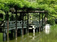 仙洞御所の写真・動画_image_173846