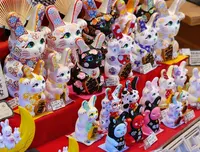 うさぎ舎の写真・動画_image_178038