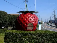 フルーツバス停の写真・動画_image_230983