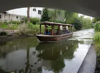 伏見十石舟の写真・動画_image_184484