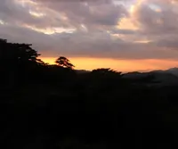 六甲有馬ロープウェー有馬温泉駅の写真・動画_image_58668