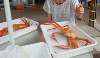 道の駅マリンドリーム能生の写真・動画_image_152895