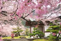 龍野城の写真・動画_image_172921