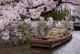 高瀬川