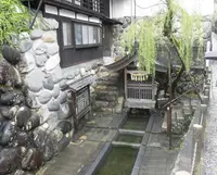 宗祇水の写真・動画_image_196557