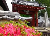 乙訓寺の写真・動画_image_78646