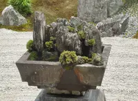 霊雲院の写真・動画_image_84946