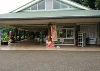 新宿御苑の写真・動画_image_109374