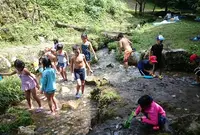 水辺公園（帝釈峡）の写真・動画_image_333317