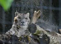 東京都多摩動物公園の写真・動画_image_16985